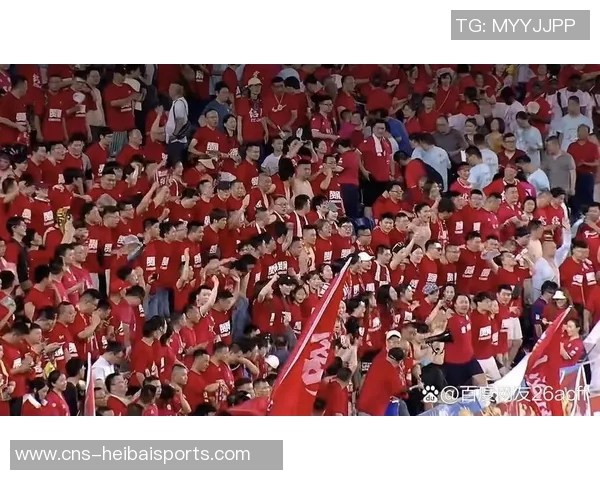 捷克与比利时激战正酣足球盛宴引发球迷热情高涨